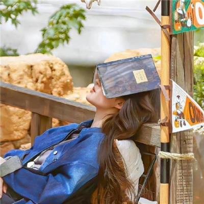 我的父亲是魏忠贤